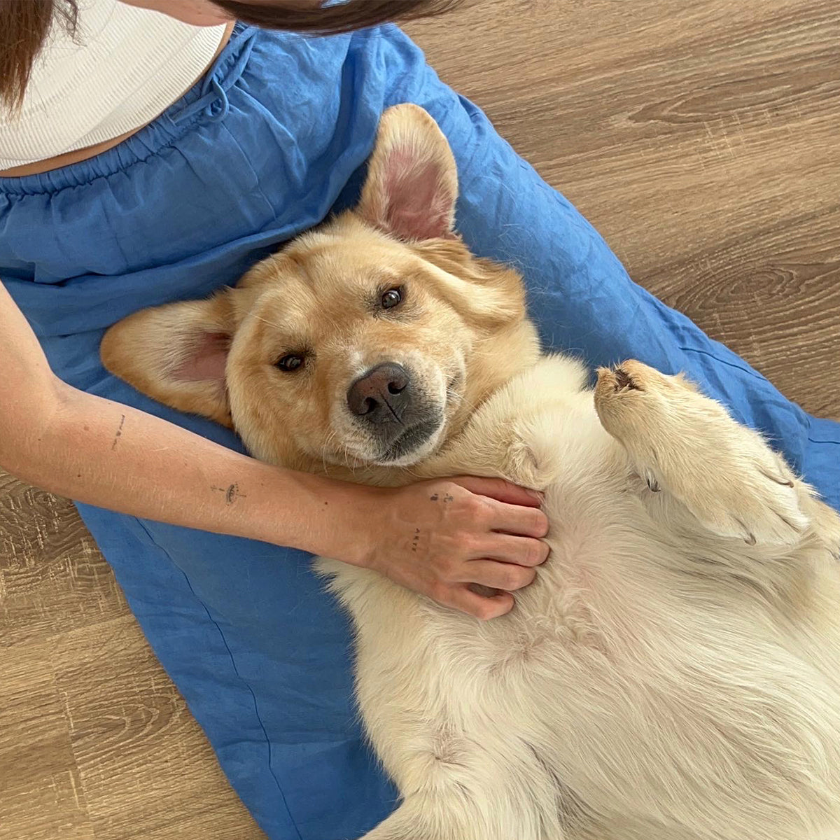 El universo de Sara Domenech y Thor