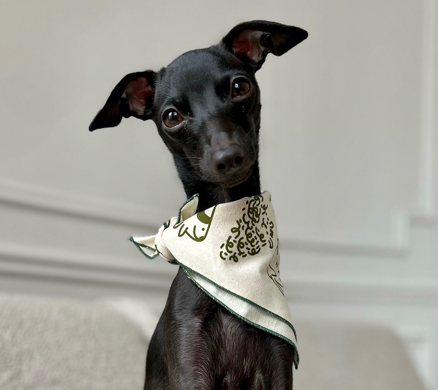 ¿Quienes son Galgos112?