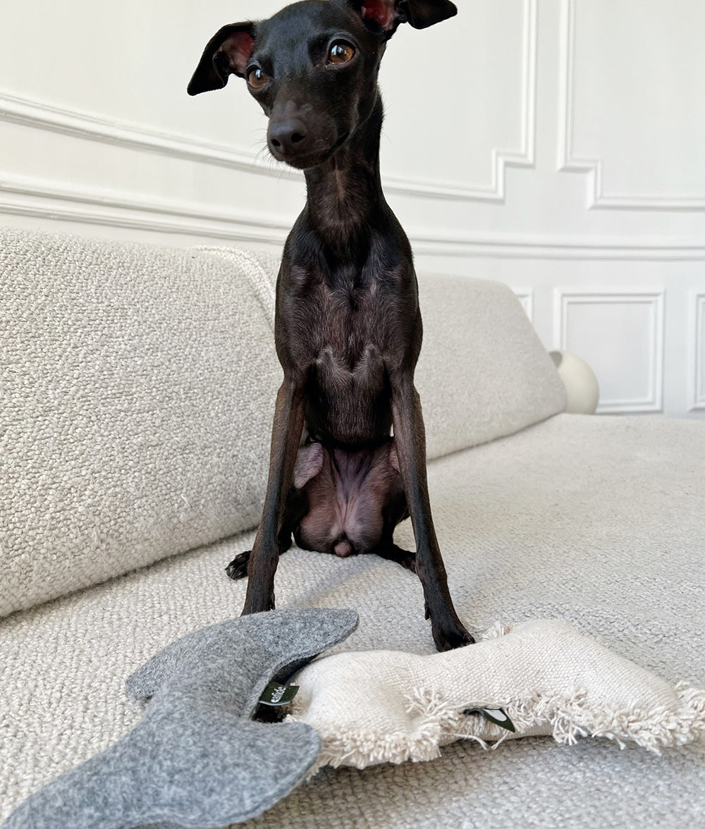 Hundespielzeug Beige, Play