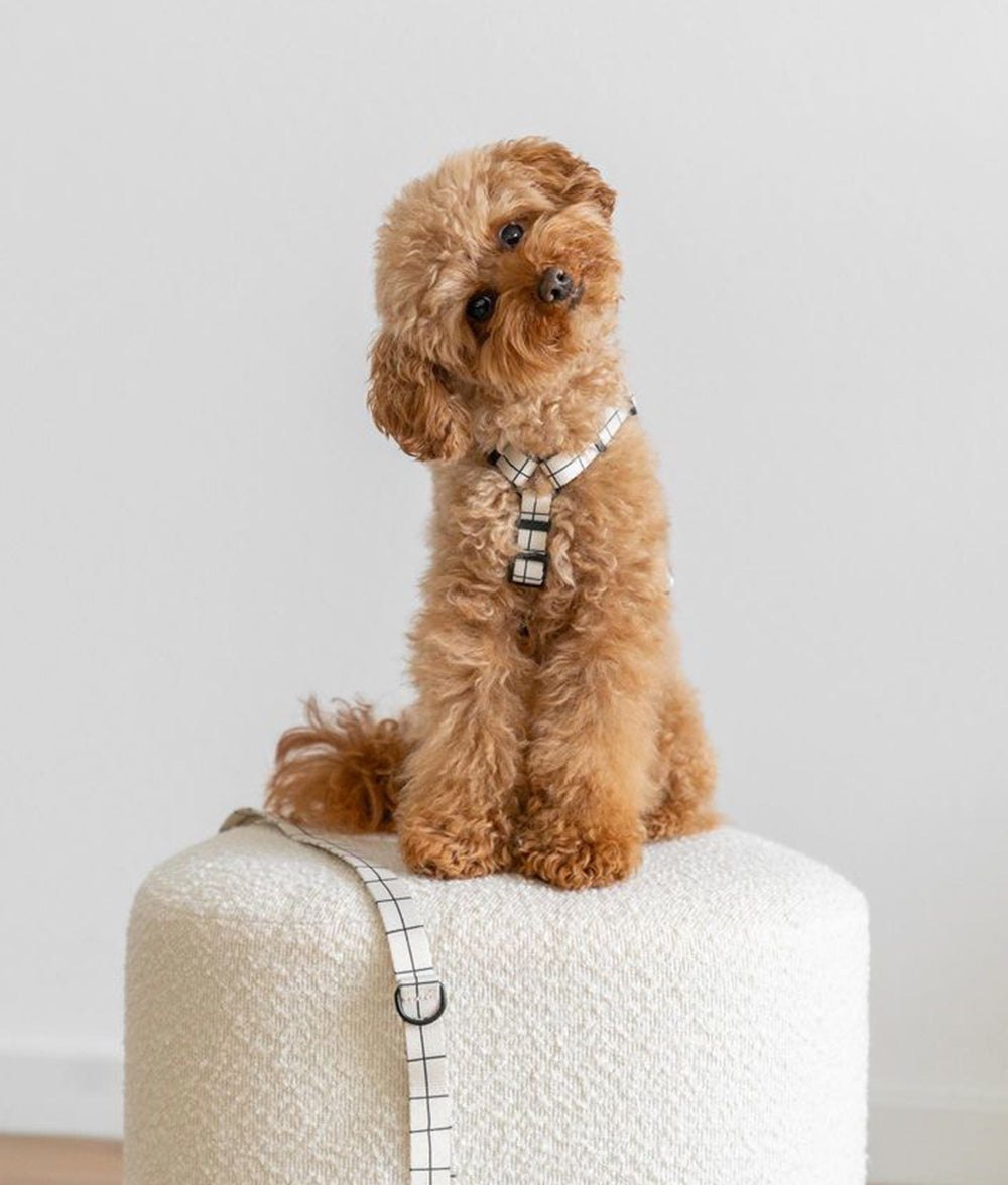 Recyceltes PET-Geschirr und Leinenrucksack Beige Line Design, Juno