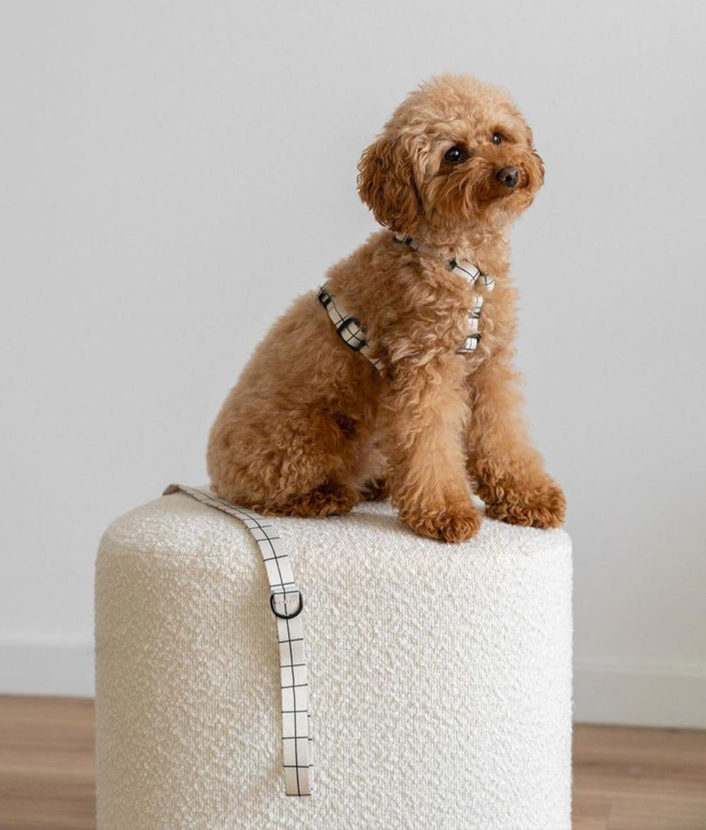 Recyceltes PET-Geschirr und Leinenrucksack Beige Line Design, Juno