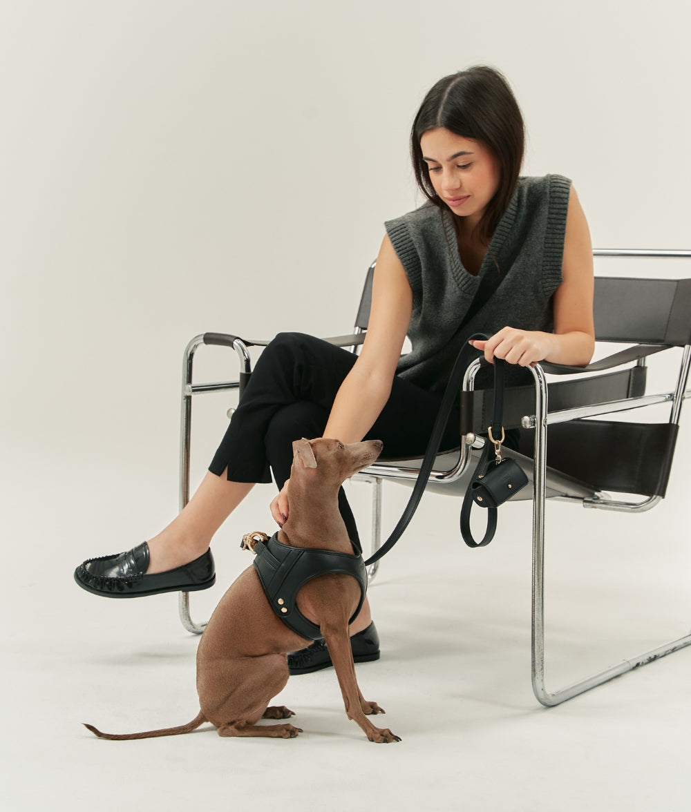 Schwarz Hundeleine aus Veganem Leder 1,4 m, Jala