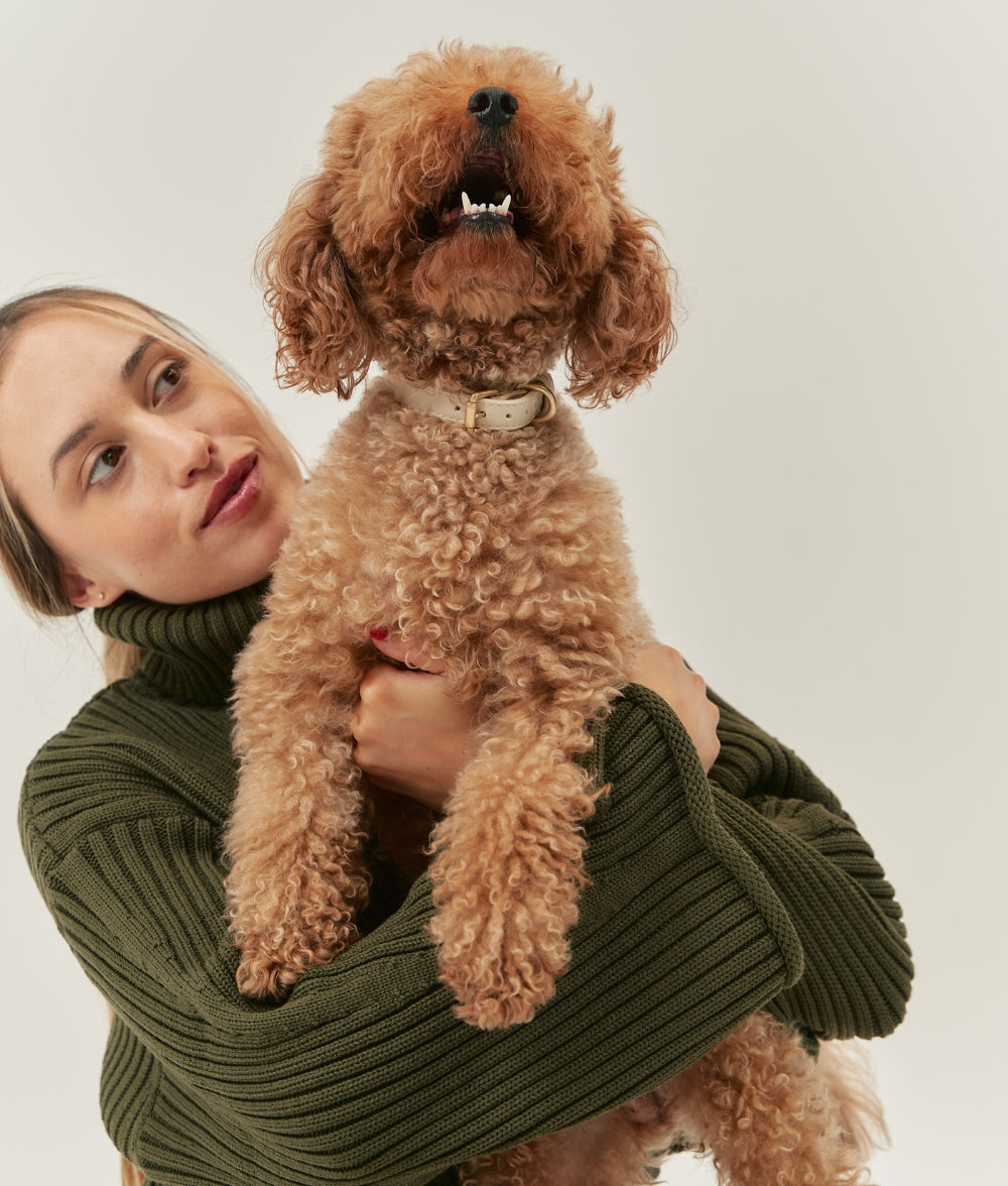 Beiges Hundehalsband aus Veganem Leder, Jala