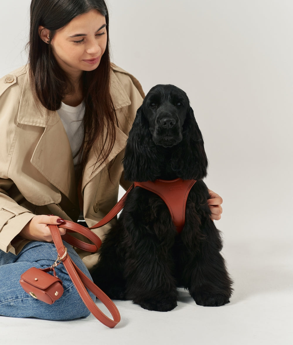 Harness Vegan Leather Brown, Jala
