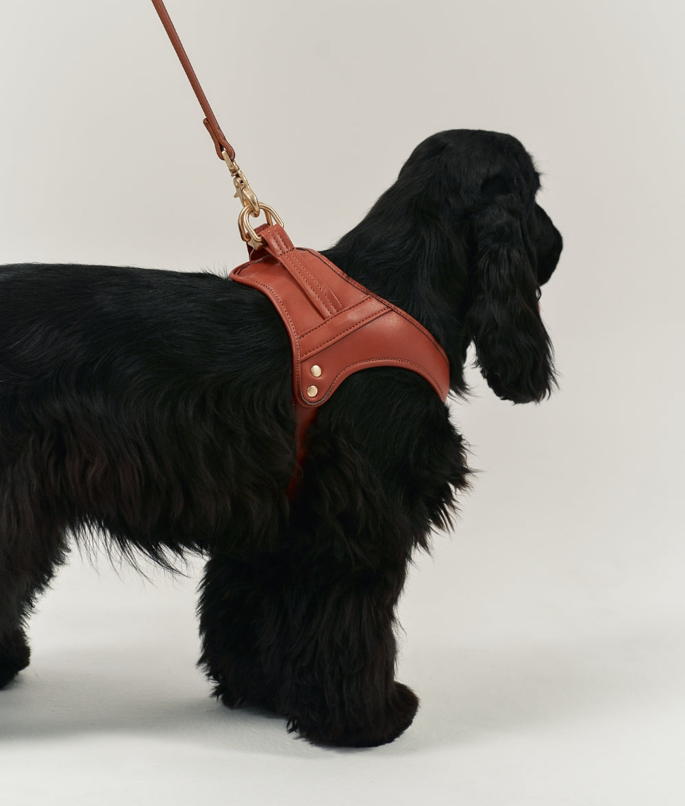 Harness Vegan Leather Brown, Jala