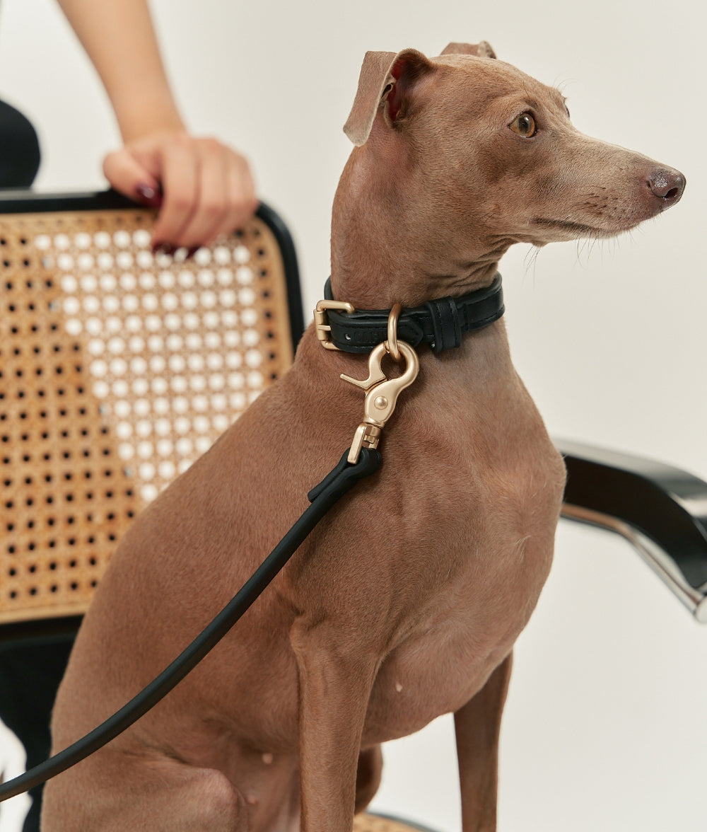 Schwarzes Hundehalsband aus Veganem Leder, Jala