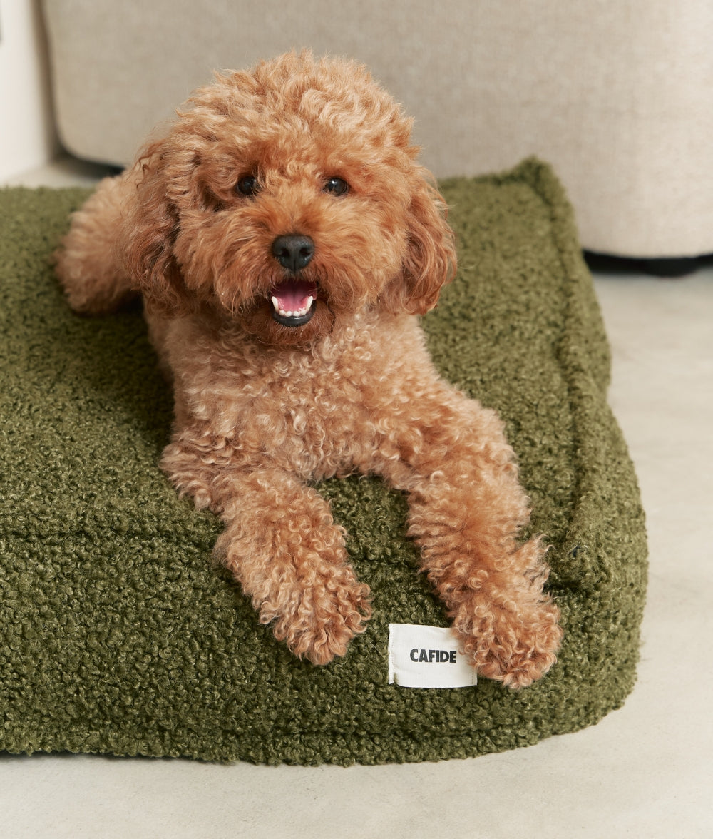 Green Fleece Dog Bed, Cuadra
