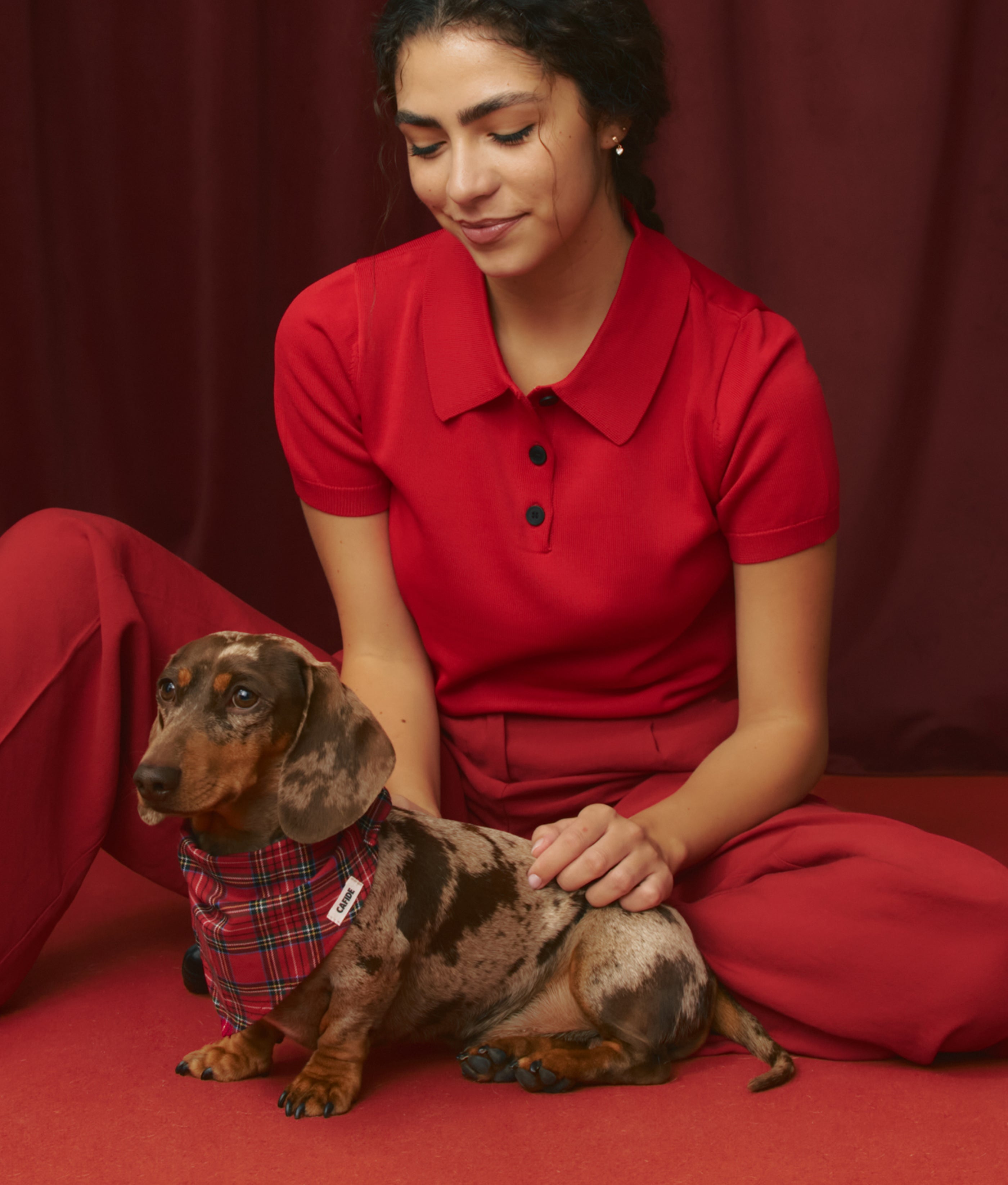 Hundehalstuch mit Royal Stewart Tartan, Nata