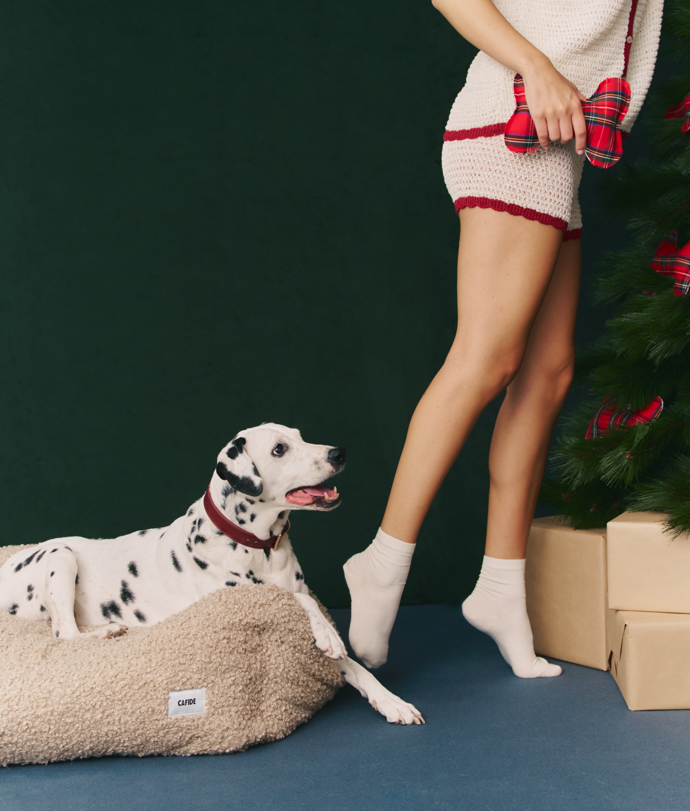 Royal Stewart Tartan Hundespielzeug, Spielen