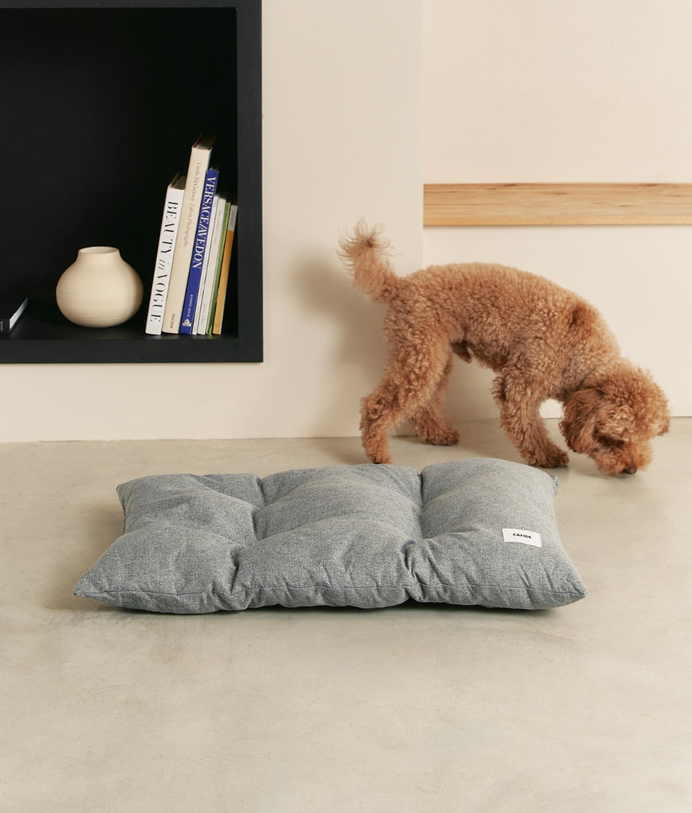 Graues Hundekissen, Bela