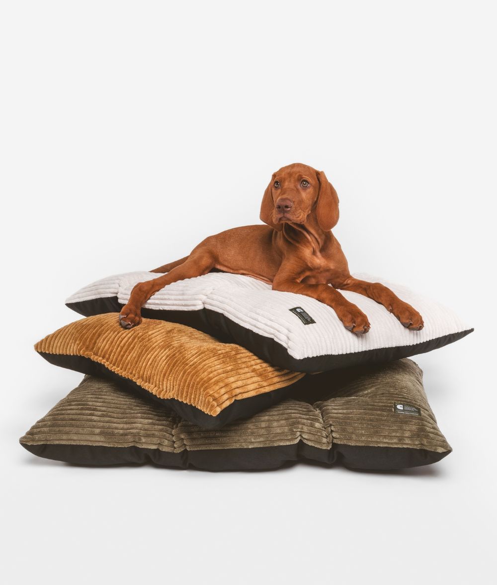 Basic Bone White Cord-Hundekissen, Bela