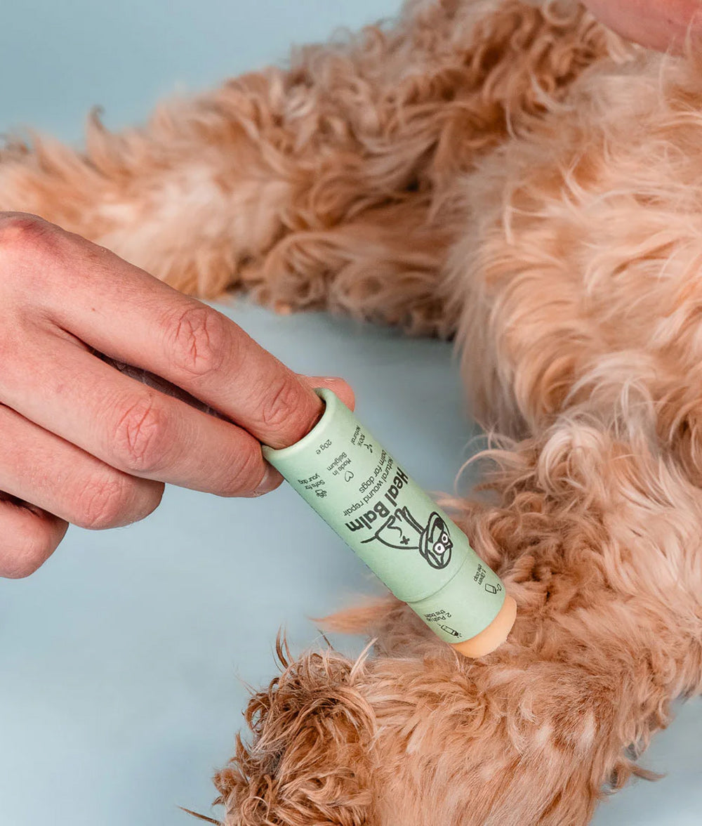 Heilbalsam-Stick 20g