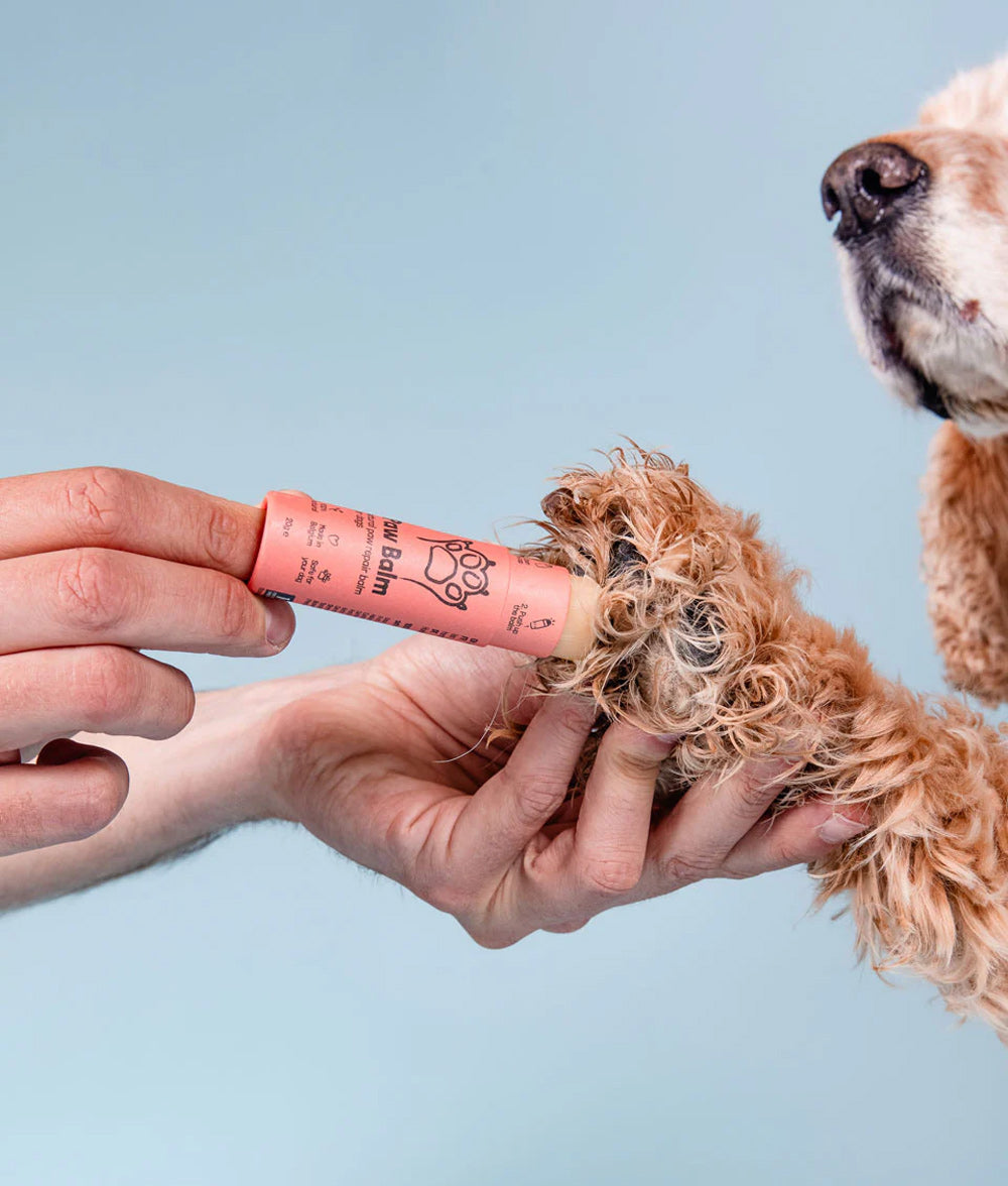 Pfotenbalsam-Stick 20g