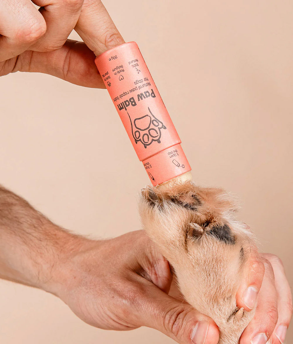 Baume en Stick pour Pattes 20g
