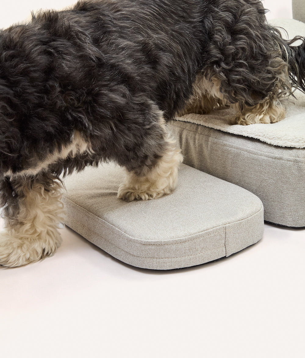 Stufenleiter für orthopädisches Hundebett, Soma