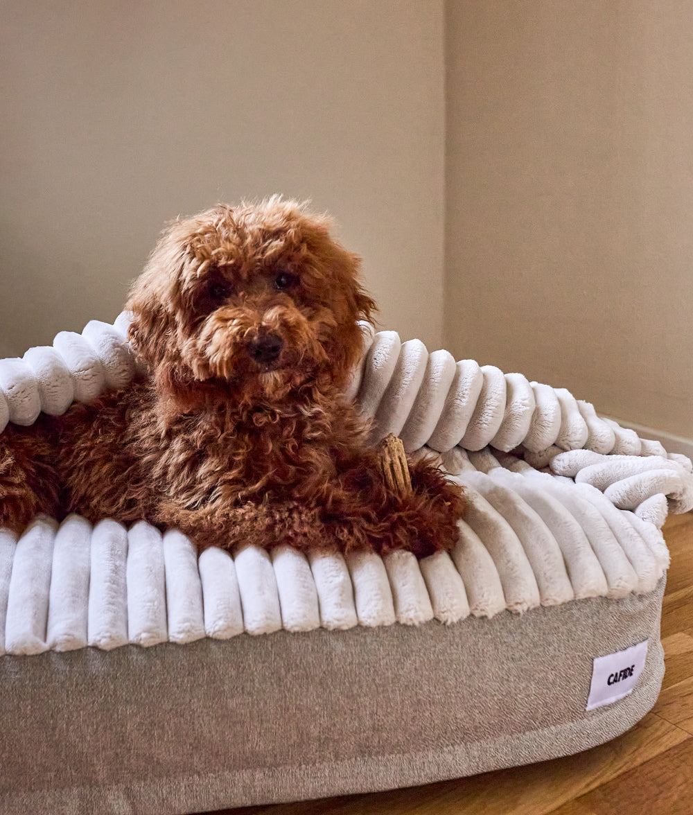 Beiges Hundebett aus Chenille mit Kapuze, Maso