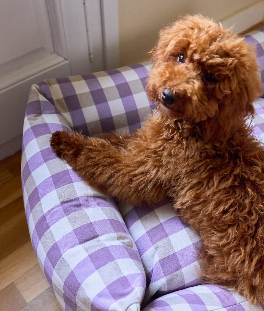 Vichy Violett Hundebett, Snozy
