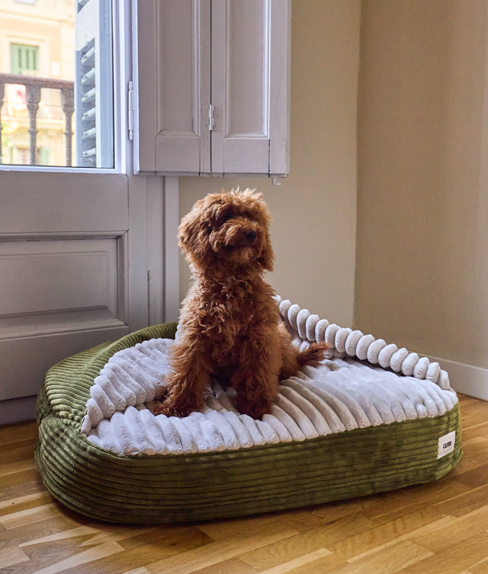 Grünes Hundebett mit Kapuze aus Cord, Maso