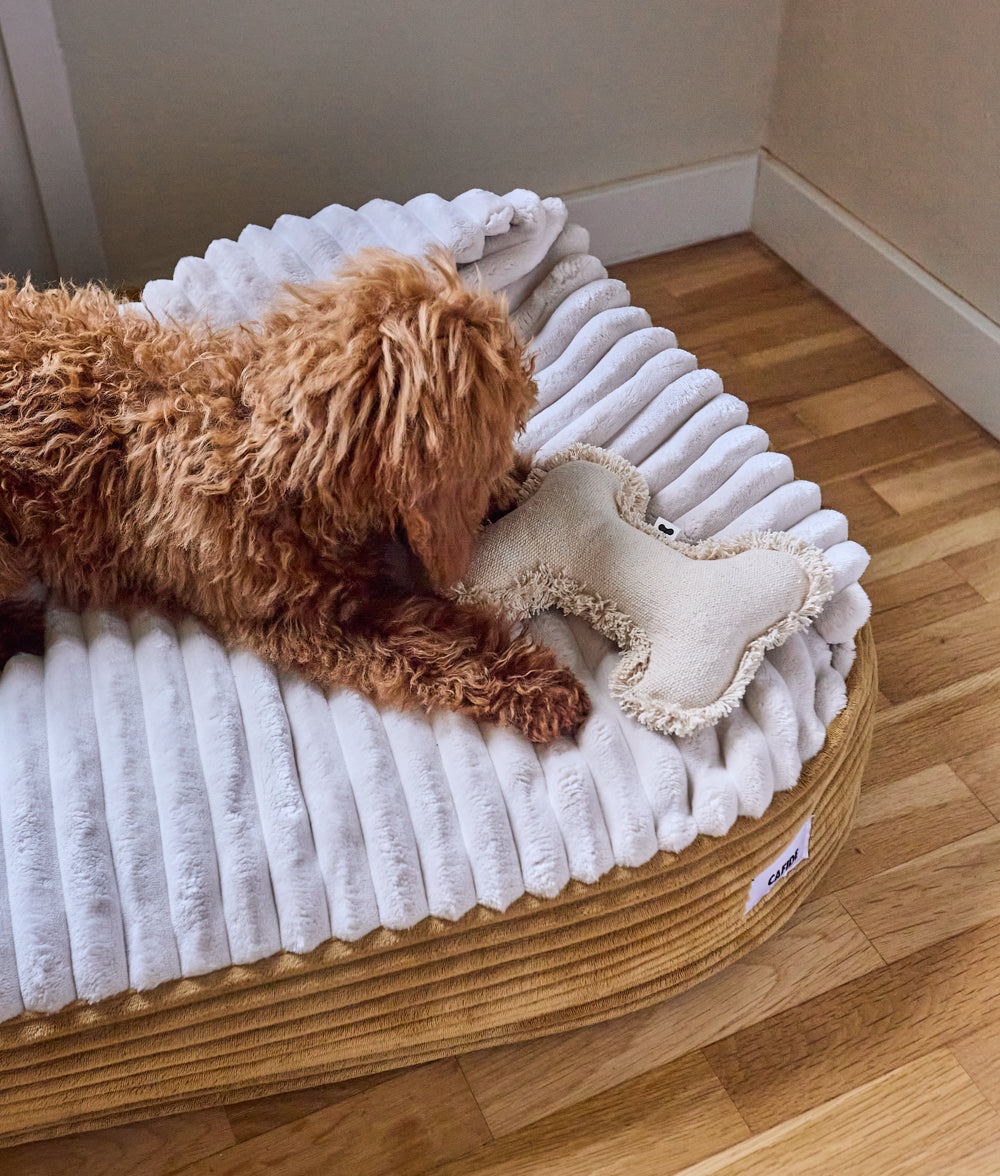 Senfgelbes Hundebett mit Kapuze aus Cord, Maso