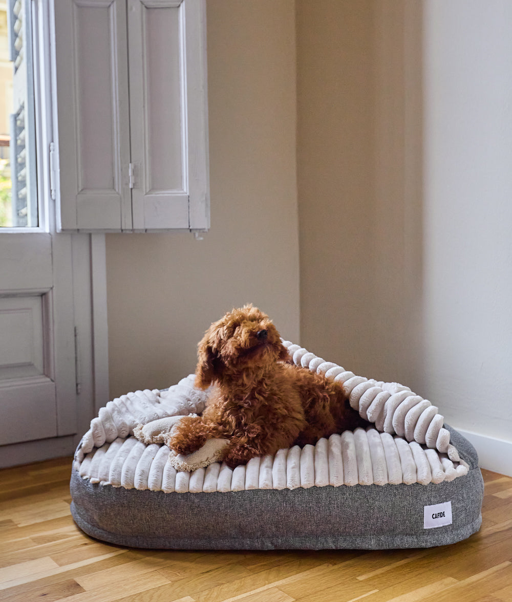 Graues Hundebett aus Chenille mit Kapuze, Maso