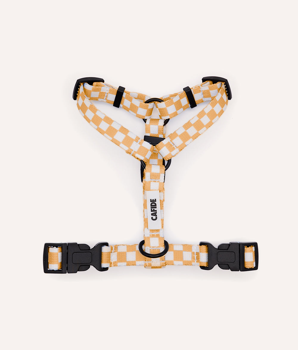 Recyceltes PET-Geschirr, Pfirsich-Orange-Design, Juno