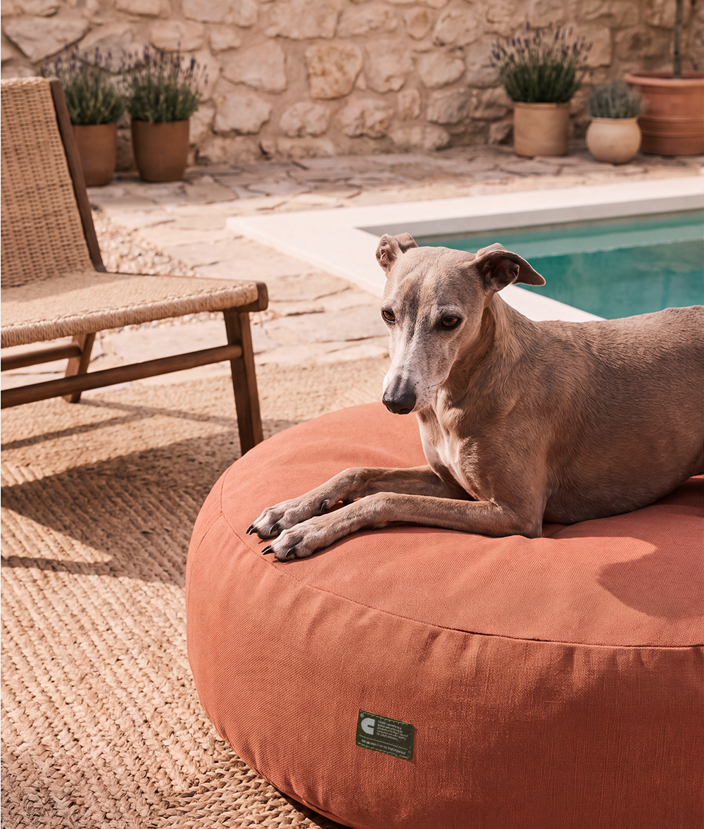 Terracotta Dog Bed for Indoor and Outdoor, Calos