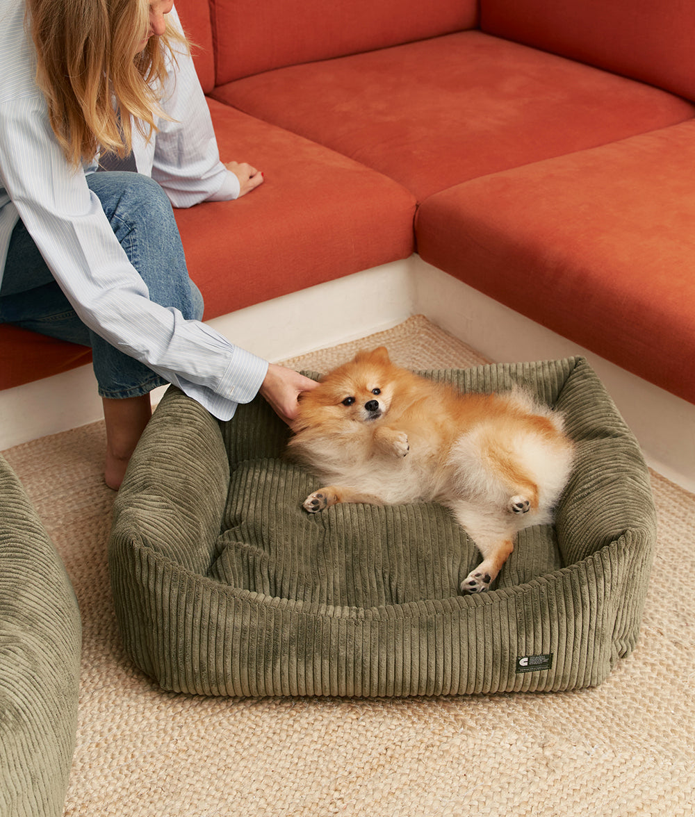 Green Corduroy Dog Bed, Snozy