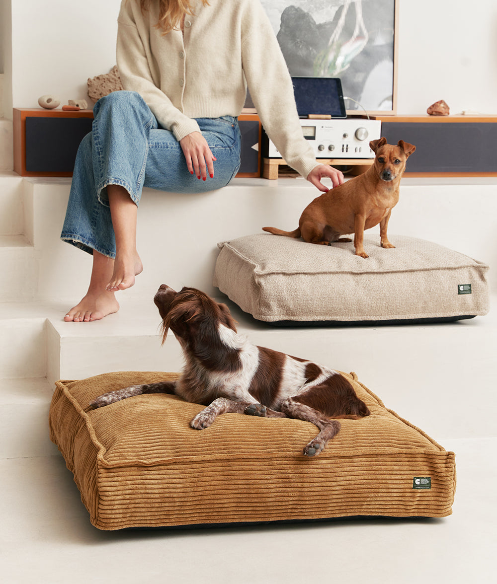 Mustard Corduroy Dog Bed, Cuadra