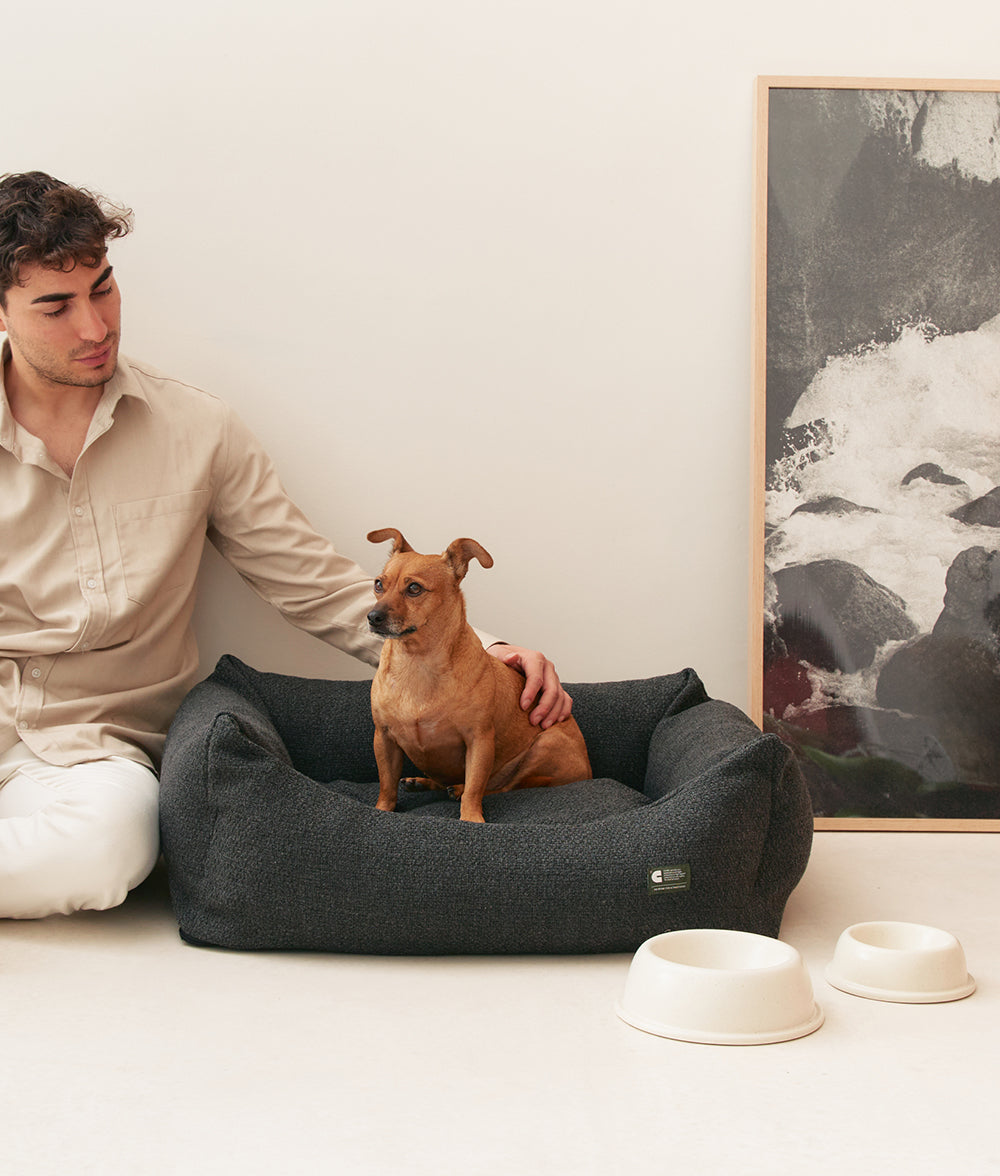 Premium-Hundebett in Schwarz-Anthrazit, Snozy