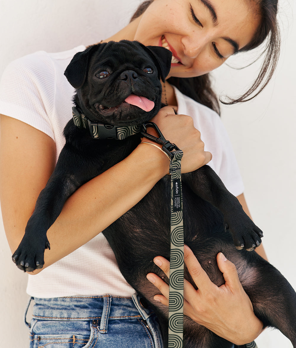 Laisse 1,2 m PET recyclé Japan Design Vert, Juno