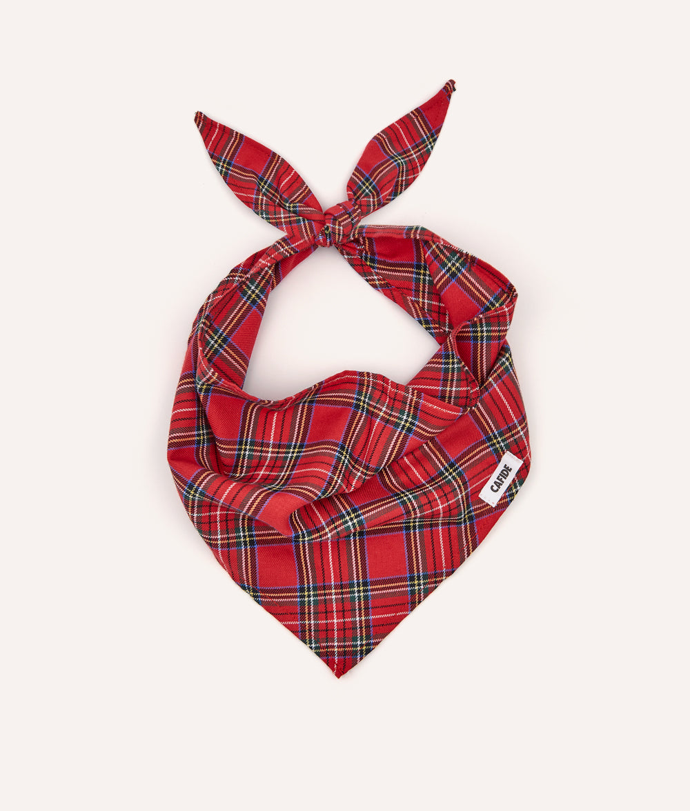 Hundehalstuch mit Royal Stewart Tartan, Nata