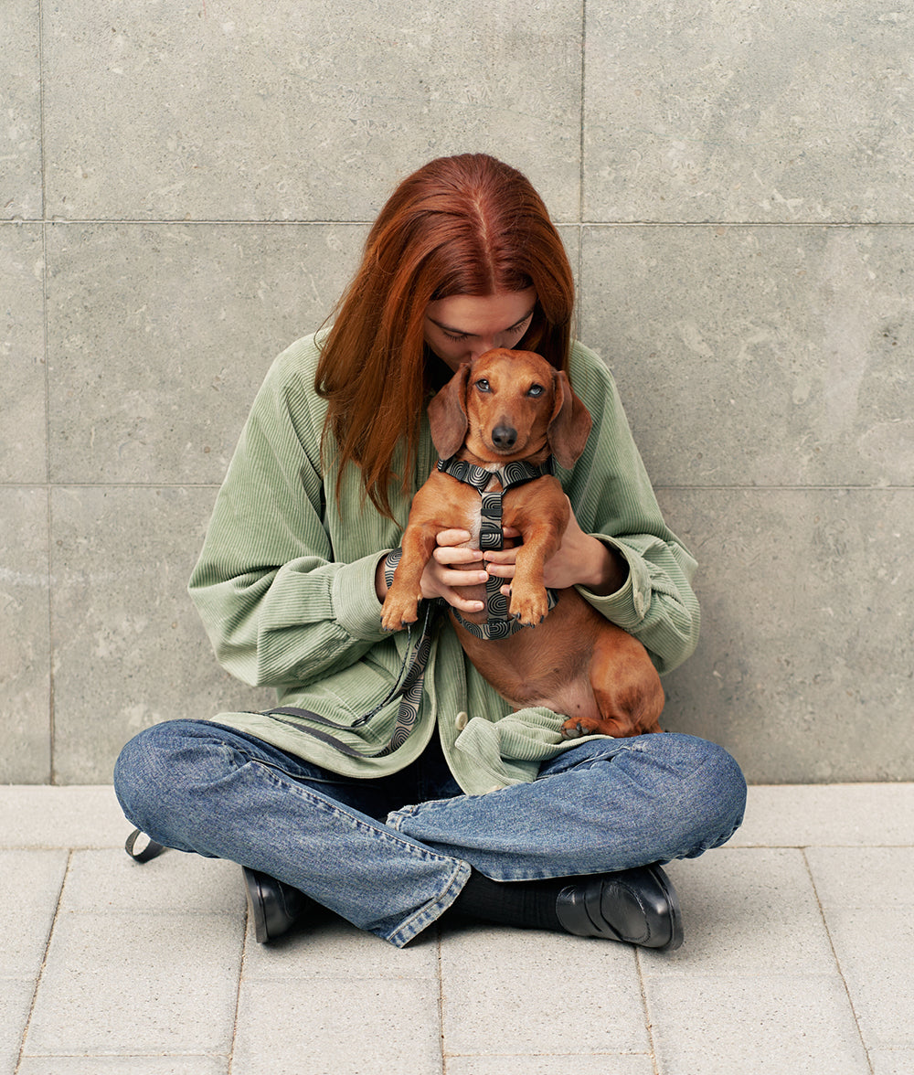Pack Arnés y Correa PET Reciclado Diseño Japón Verde, Juno