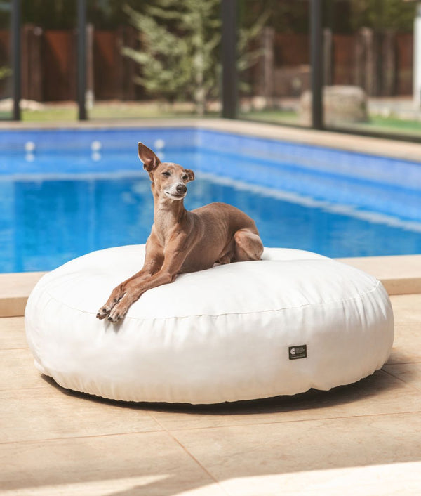 White Dog Bed for Indoor and Outdoor, Calos 