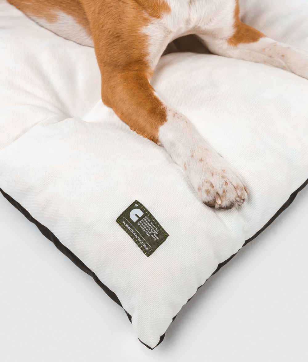 Coussin pour chien blanc pour intérieur et extérieur, Bela
