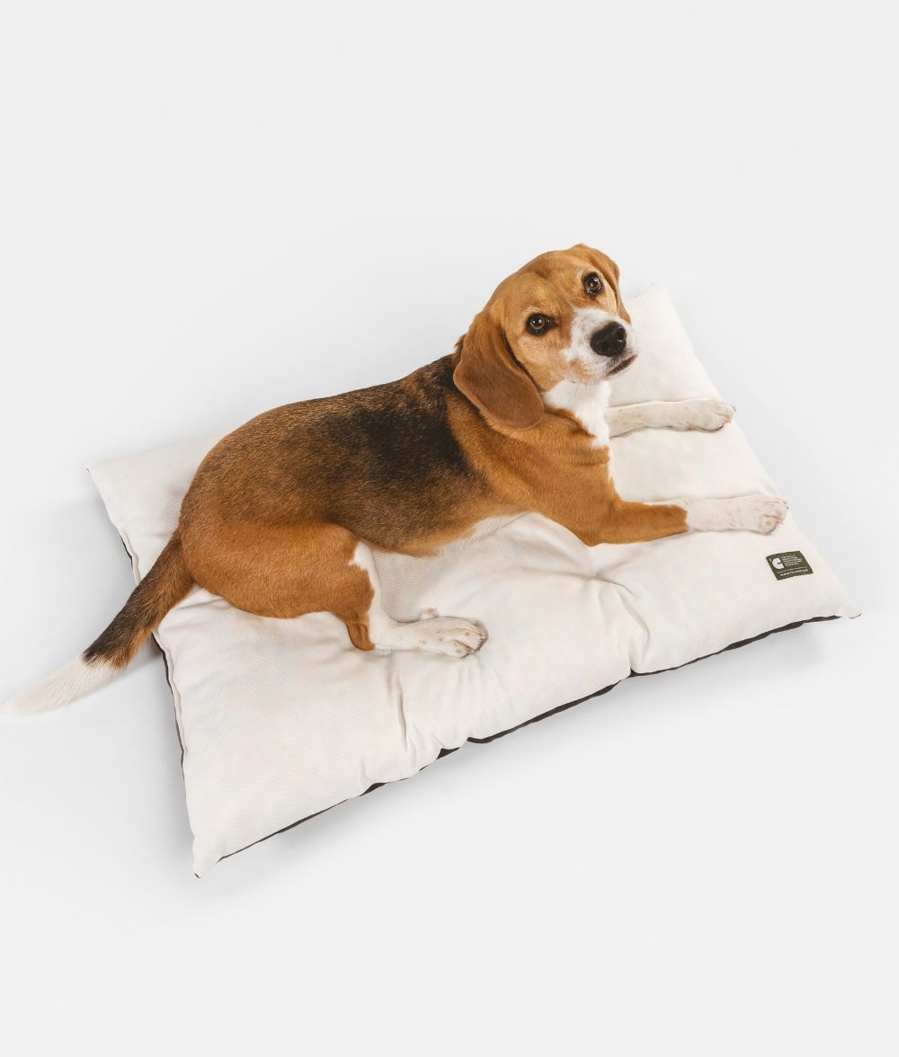 Coussin pour chien blanc pour intérieur et extérieur, Bela
