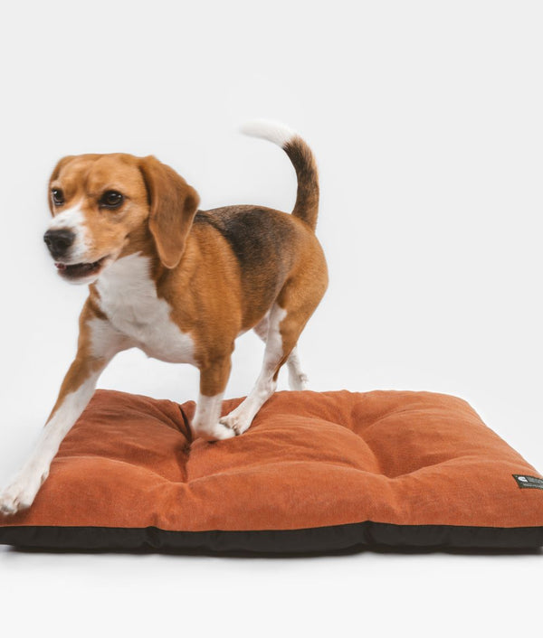Terracotta Dog Cushion for Indoor and Outdoor, Bela