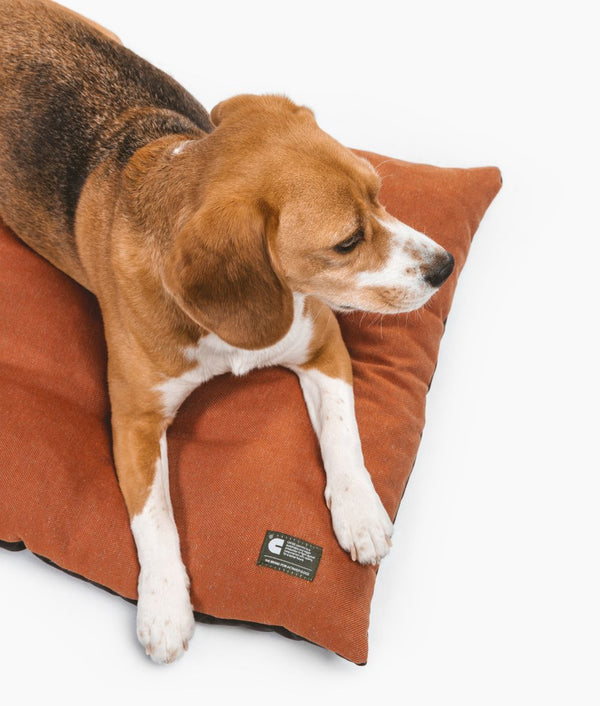 Terracotta Dog Cushion for Indoor and Outdoor, Bela