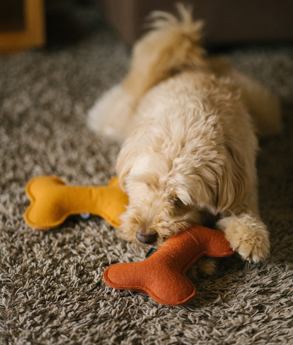 Jouet pour chien Tile, jouer