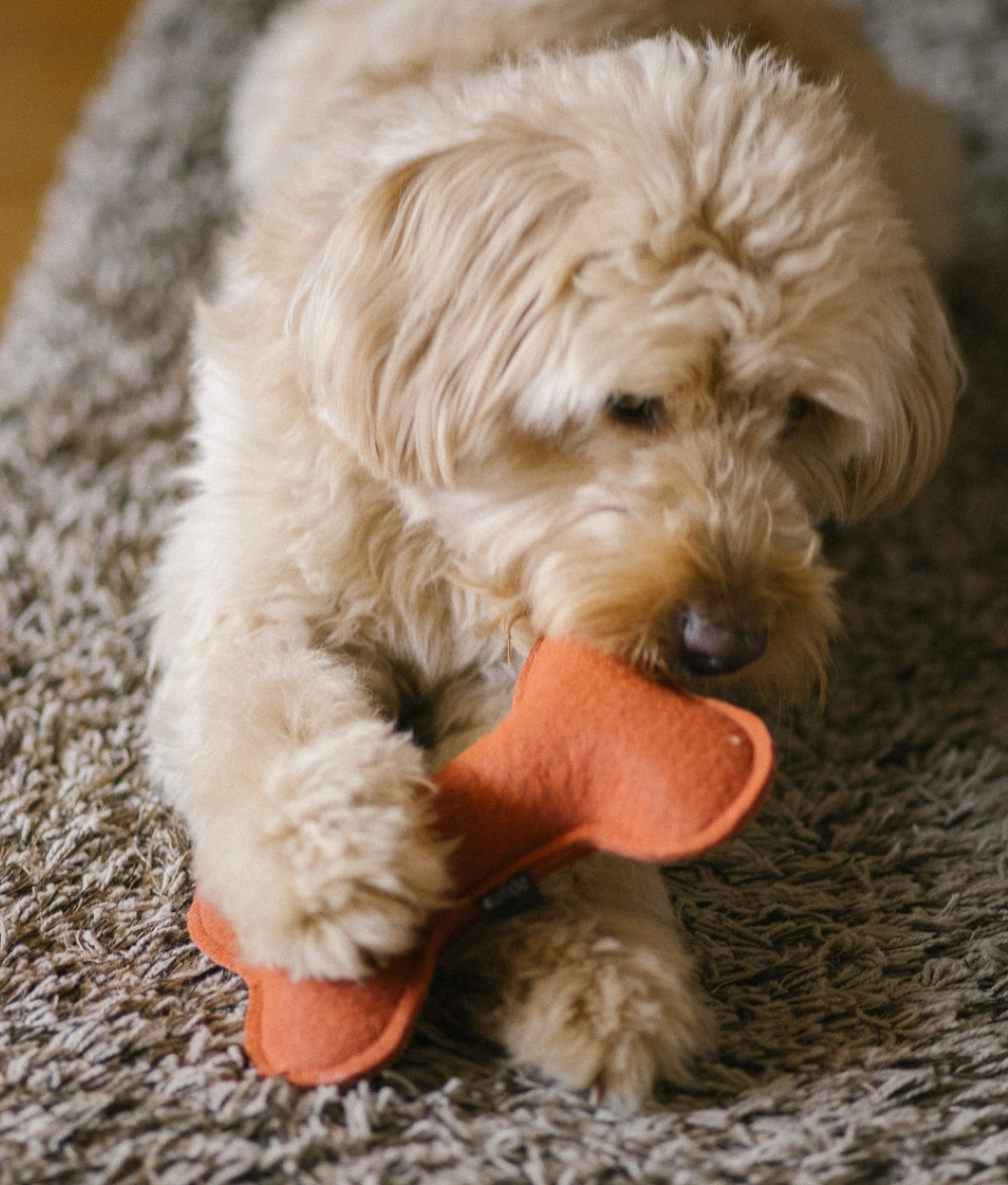 Hundespielzeug Terrakotta, Play