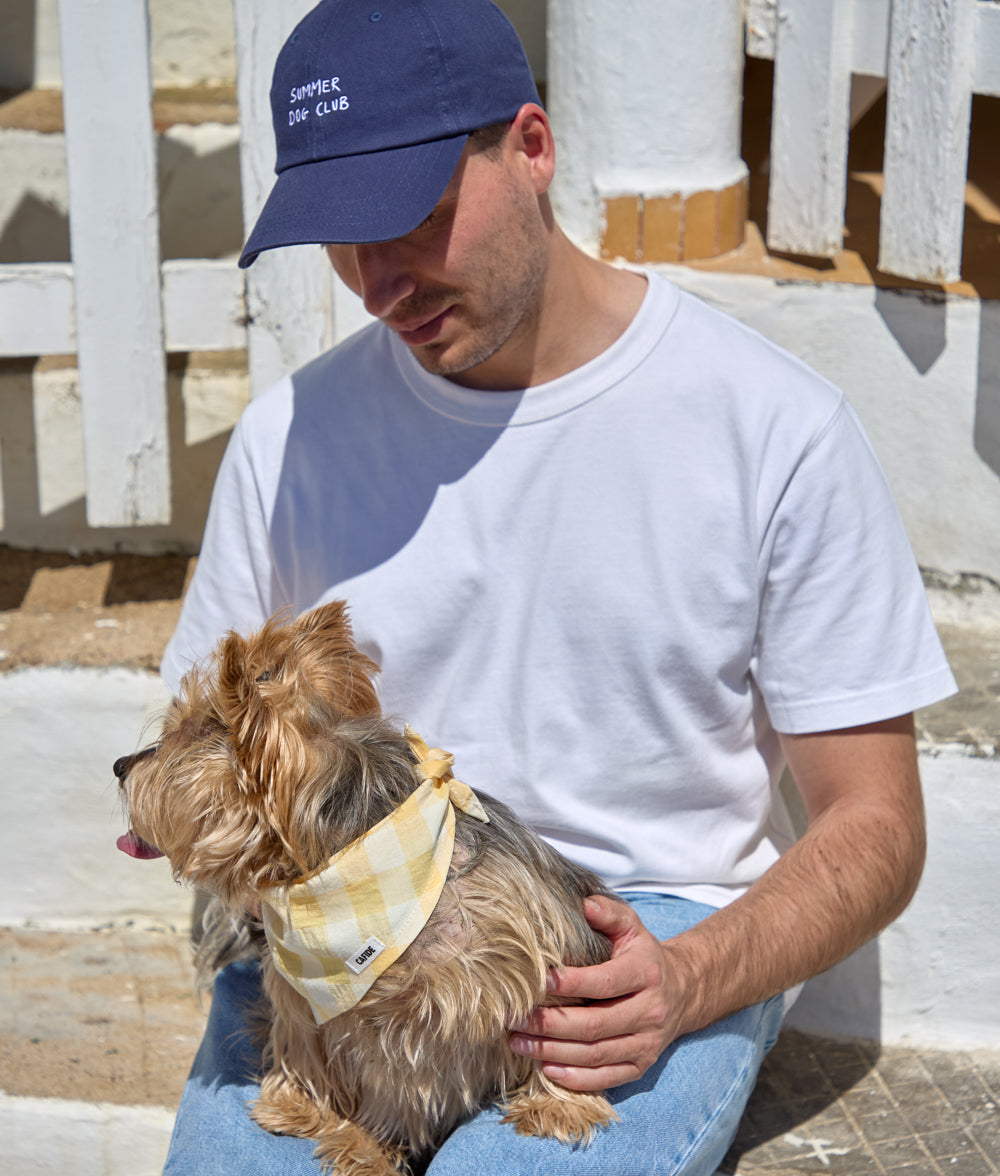 Navy Blue Cap Summer Dog Club, Pola