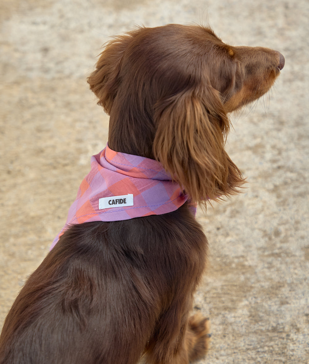 Dog Bandana Design Vichy Violet, Nata