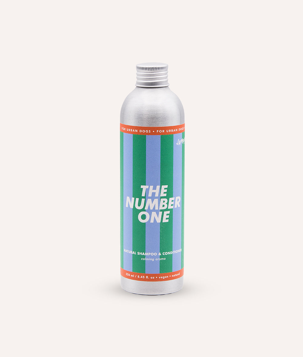 Natural Shampoo and Conditioner 250ml