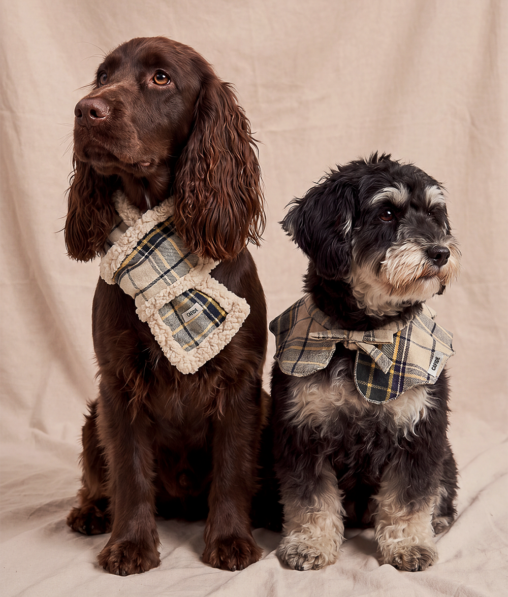 Hundeschal Tartan-Design Beige, Mica