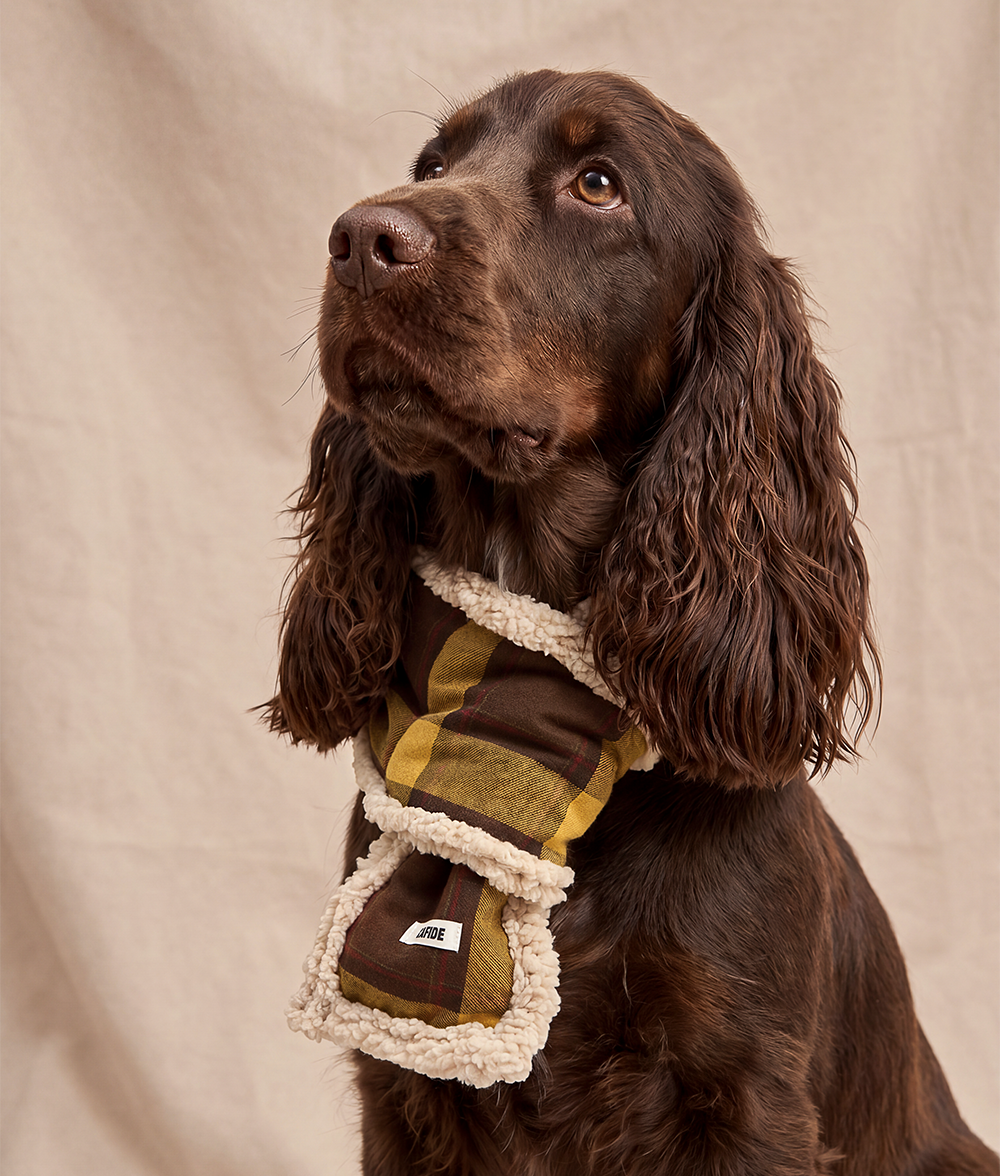 Hundeschal Tartan-Design Senfgelb, Mica