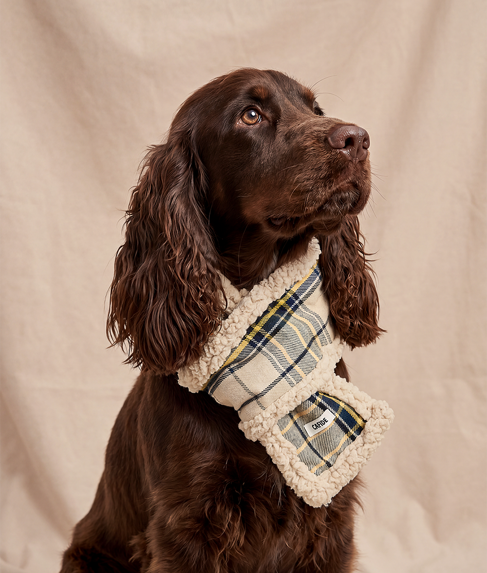 Hundeschal Tartan-Design Beige, Mica