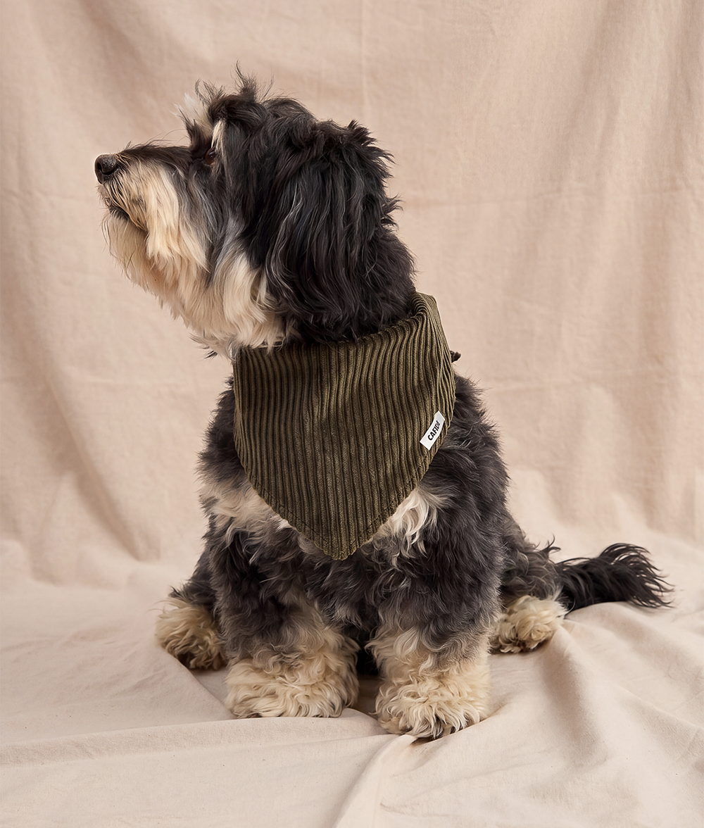 Bandana Perro Pana Verde, Nata