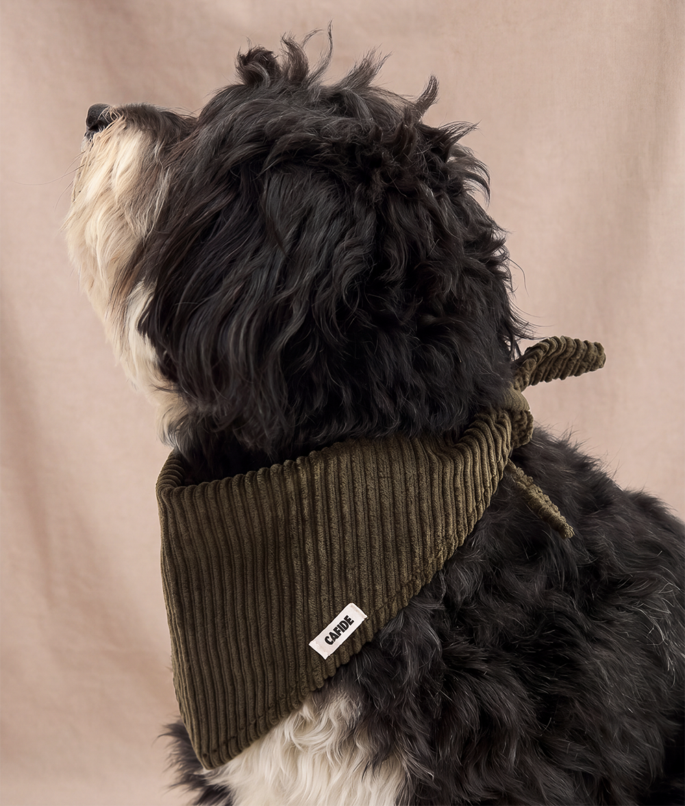 Bandana Perro Pana Verde, Nata