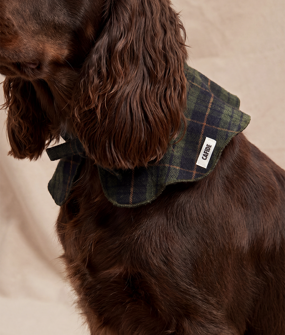 Hundebandana im Halsstil Tartan Grün, Lola