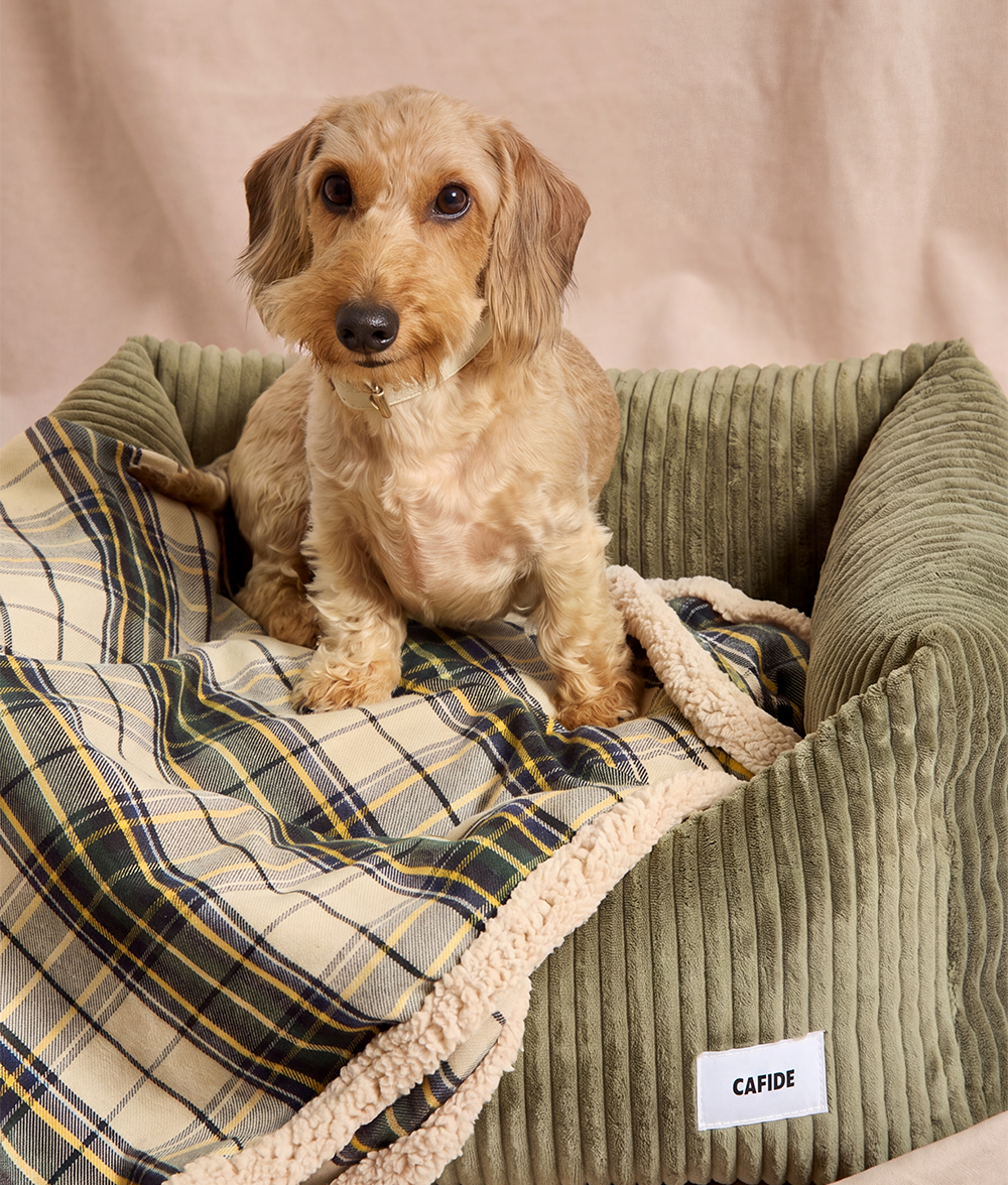 Beige karierte Hundedecke, Toia