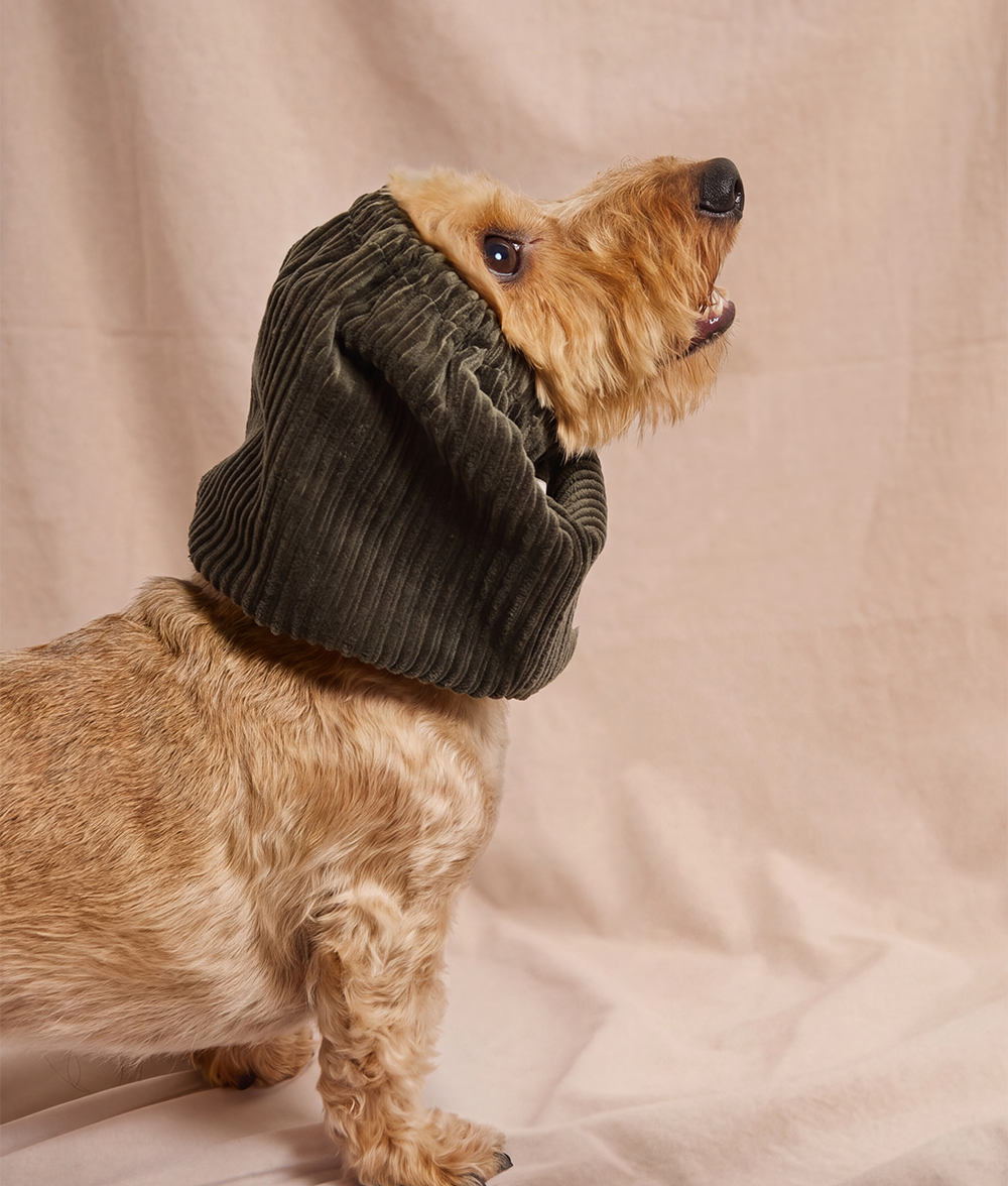 Snood Hund Cord Design Grün, Olga